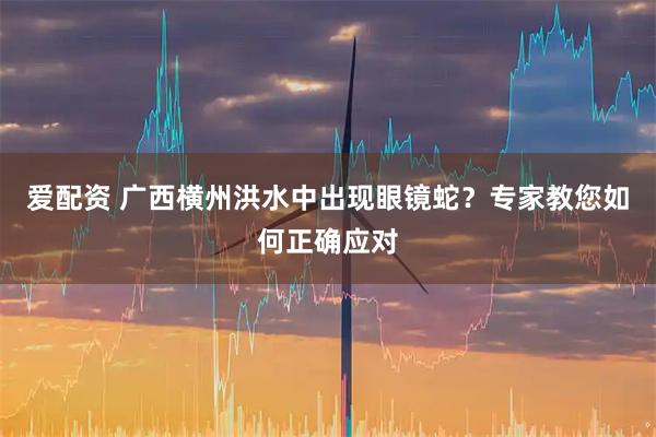 爱配资 广西横州洪水中出现眼镜蛇?专家教您如何正确应对