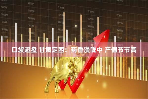 口袋超盘 甘肃定西：药香漫陇中 产值节节高